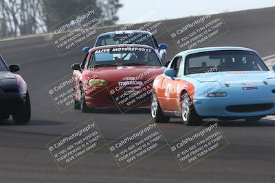 media/Feb-22-2025-CalClub SCCA (Sat) [[57201885c5]]/Group Two/Group 2B/